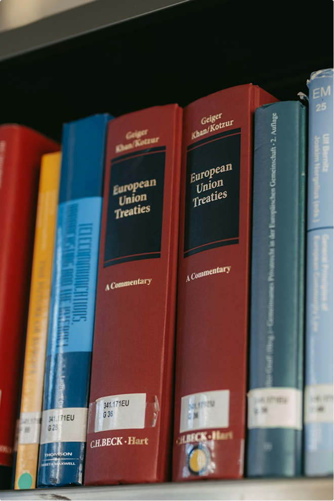 Academic Legal Research Experience