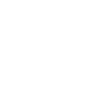 A Legal Mind with a Human Touch...